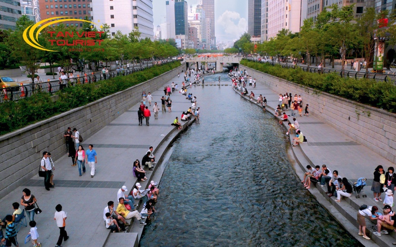 seoul-dao-nami-cong-vien-everland (1)