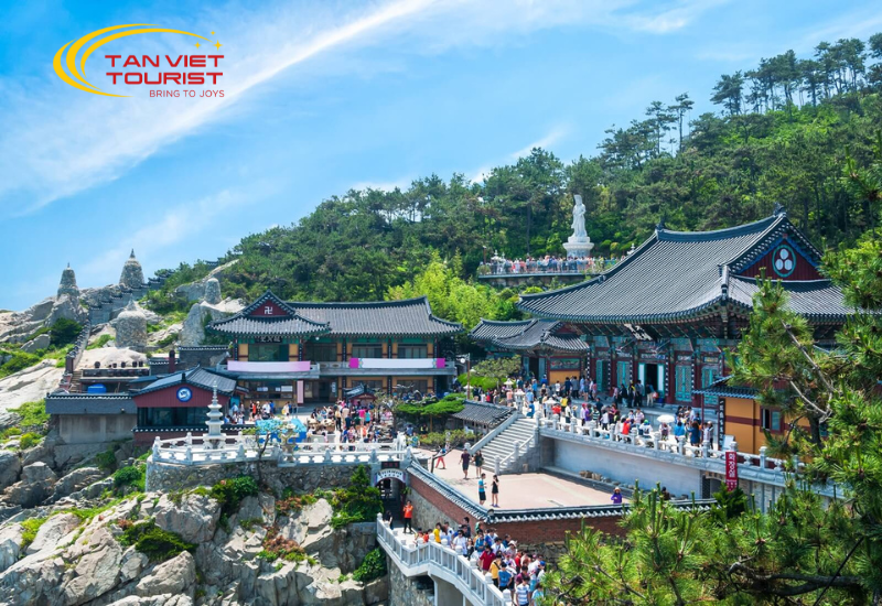 seoul-dao-nami-cong-vien-everland (1)