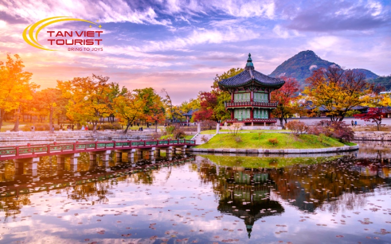 seoul-dao-nami-cong-vien-everland (2)