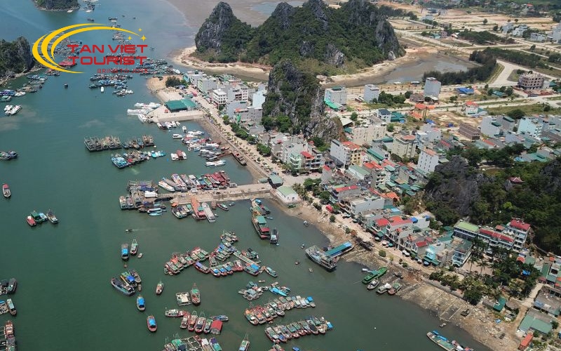 kham-pha-dao-co-to (3)