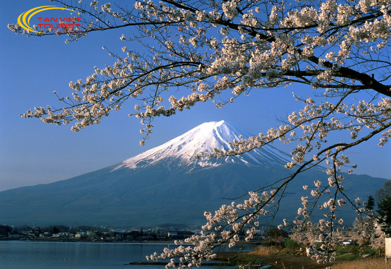 kham-pha-nhat-ban-tokyo-nogoya-osaka (3)