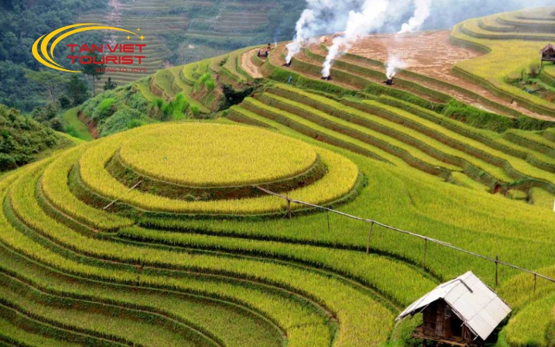 mu-cang-chai-tu-le-2n1d (2)