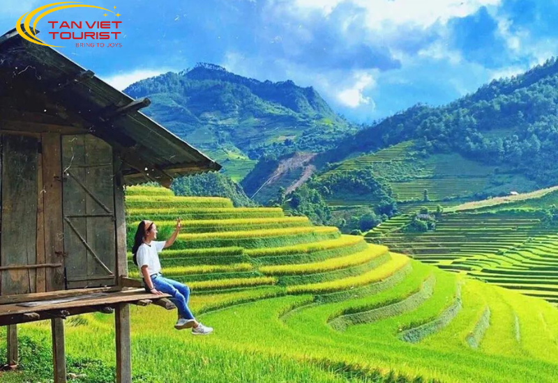 mu-cang-chai-tu-le-2n1d