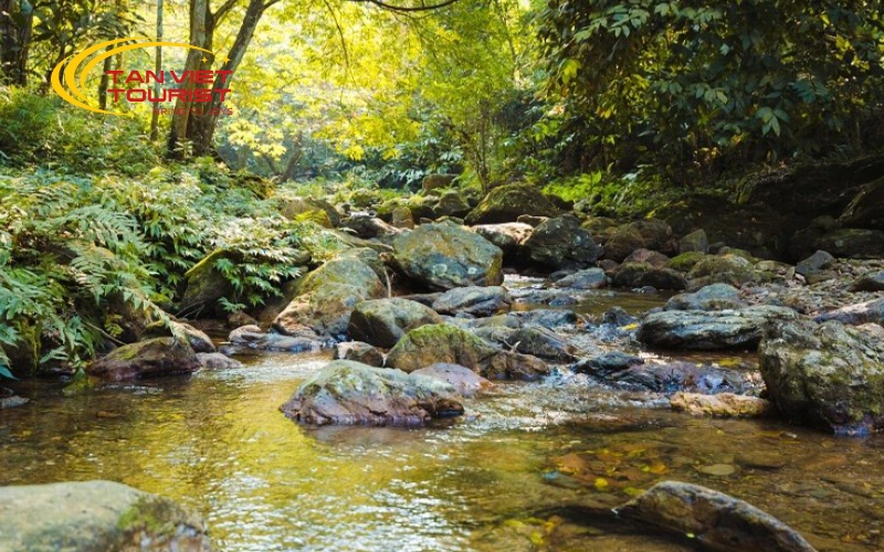 tour-ao-vua (1)