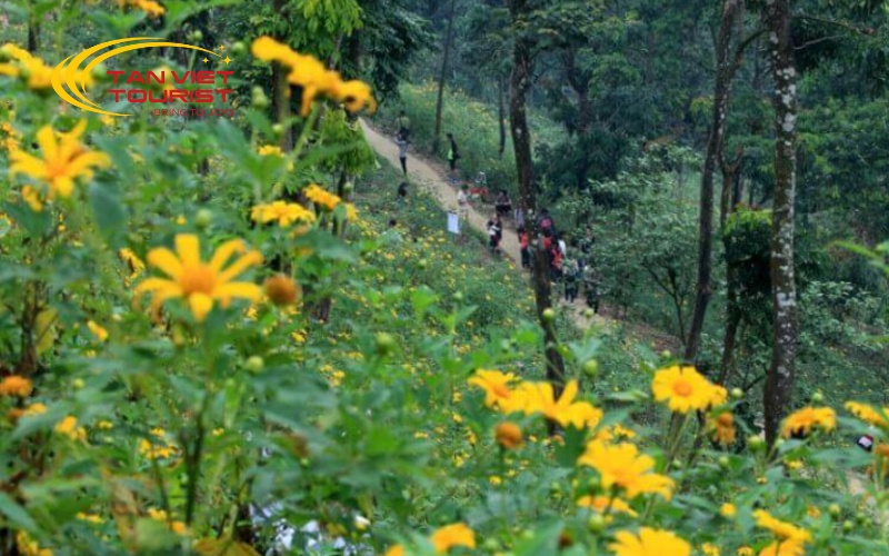 tour-khoang-xanh-suoi-tien (1)