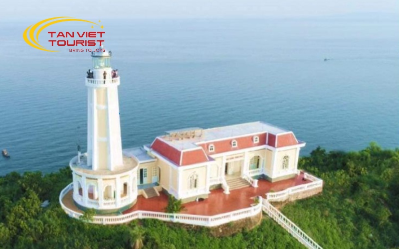 tour-mong-cai-tra-co (4)