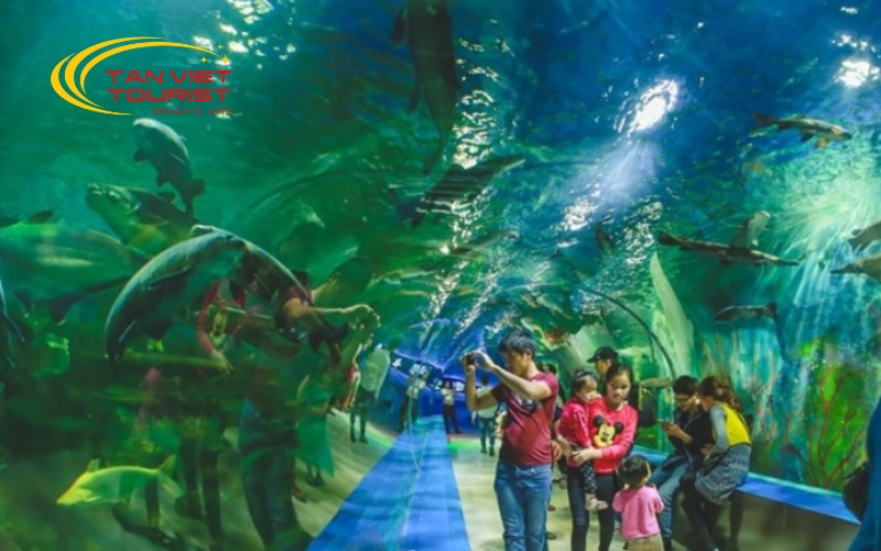 tour-lang-bac-thien-duong-bao-son-tour-hs (4)