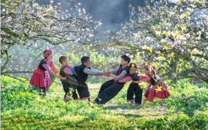 Du Lịch Mộc Châu