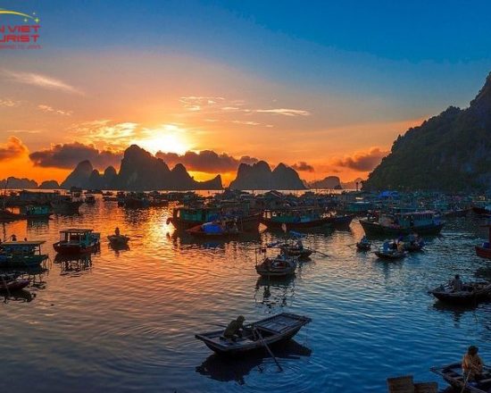 Đảo Cô Tô - Vịnh Hạ Long