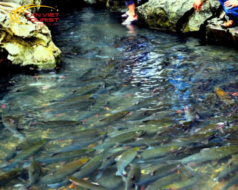 tour-pu-luong-suoi-ca (1) Tour Pù Luông - Suối Cá