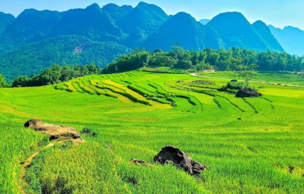 tour-pu-luong-suoi-ca SUỐI CÁ CẨM LƯƠNG – KHÁM PHÁ PÙ LUÔNG