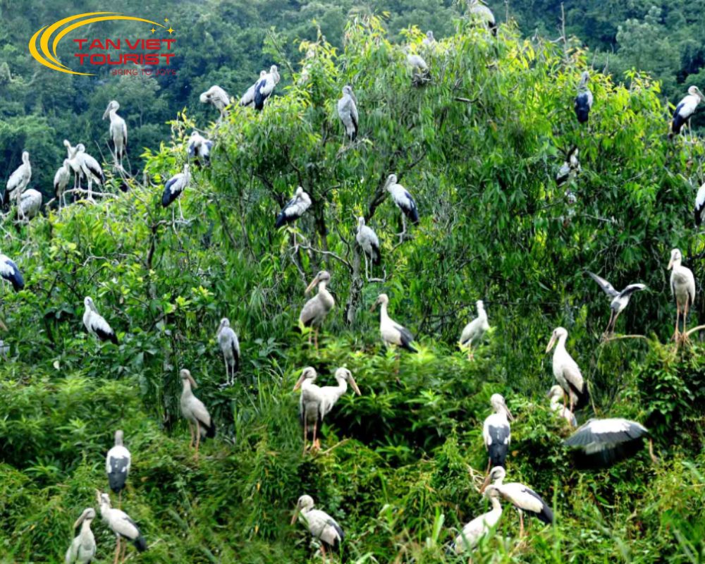 tour-thung-nham-pho-co-hoa-lu (4) Tour Thung Nham - Phố Cổ Hoa Lư
