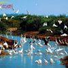 Tour VQG Xuân Thủy - Nhà Thờ Phú Nhai