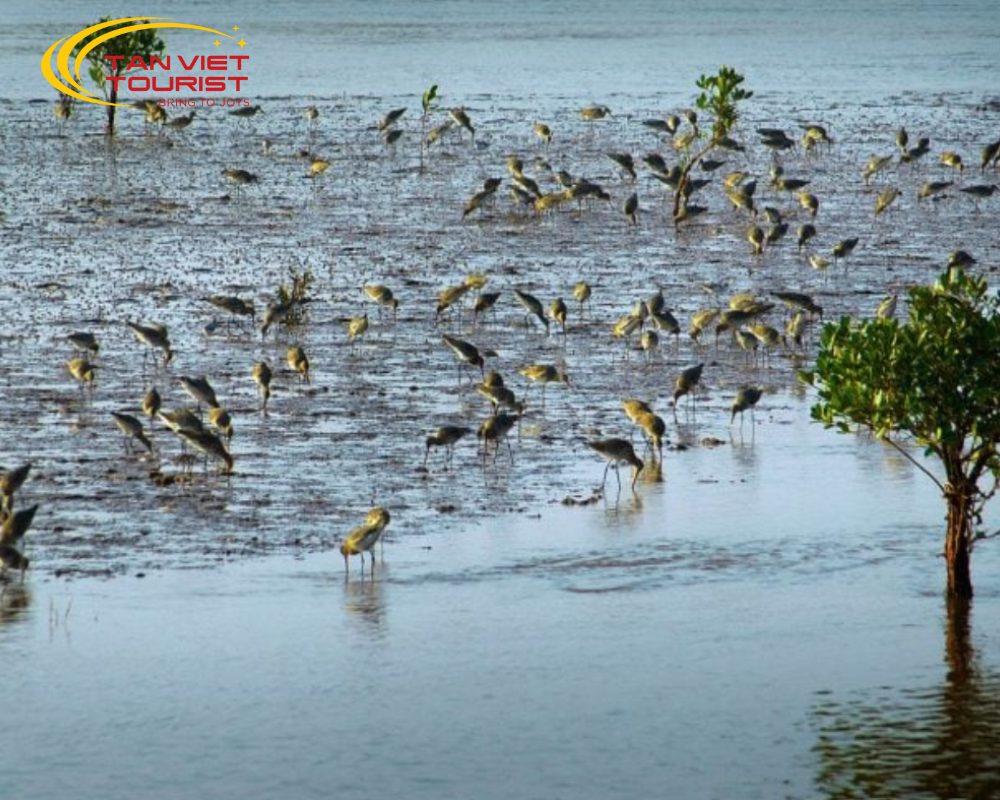 tour-vqg-xuan-thuy-nha-tho-phu-nhai (3) Tour VQG Xuân Thủy - Nhà Thờ Phú Nhai