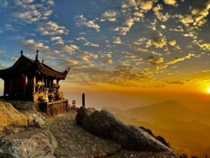 Tân Việt Tourist, Công ty du lịch uy tín gần đây 